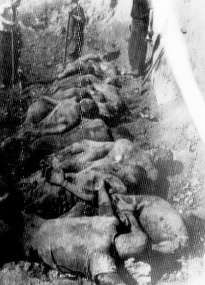 Bodies taken from a mass grave in Taganrov, Russia.